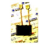 CARBONES N21-EBT-37A