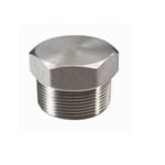 TAPA TORNILLO HEXAGONAL NPT SS304 1" 150LBS INOX
