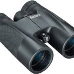BIN.BUSHNELL POWERVIEW 10X42,NEGRO,CAJA