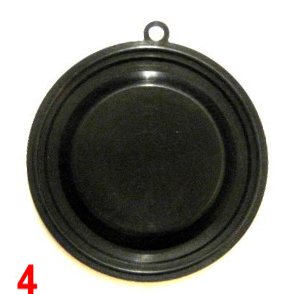 Membrana trotter 1 oreja (c029-4)