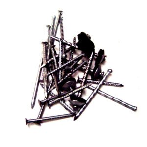 Clavos techo c/goma bolsa 100un (2 1/2″)