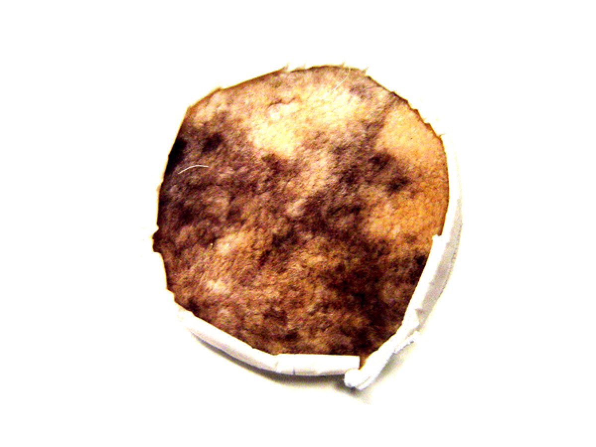 Bonete p/pulidora 9′ chiporro lizcal’