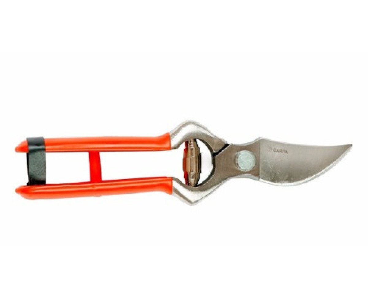 Tijera podar 24 cms portuguesa – carpa